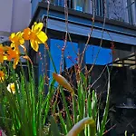 Fiorenzuola Bed & Breakfast 3*